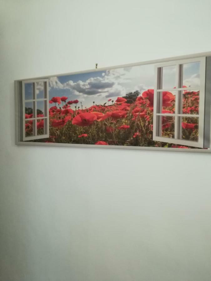 La Terrazza Διαμέρισμα Τράπανι Εξωτερικό φωτογραφία